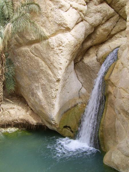 Oasis