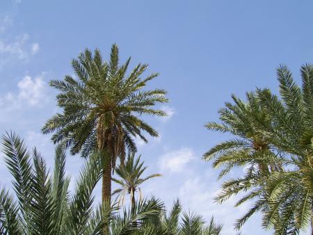 Paradis