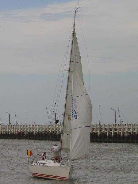 Voilier - Nieuwport